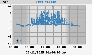 Wind Vector