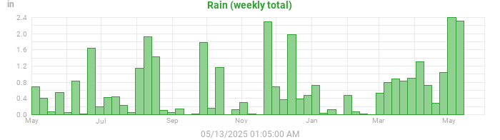 rain